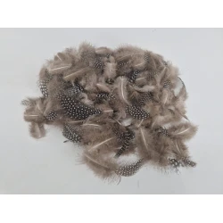 PLUMES DE PINTADE NATUREL +/-45GR