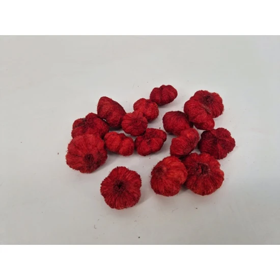 WILD APPLE MINI BORDEAUX