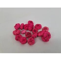 WILD APPLE MINI CYCLAAM +/-50GR