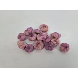 WILD APPLE MINI FREESIA +/-250GR