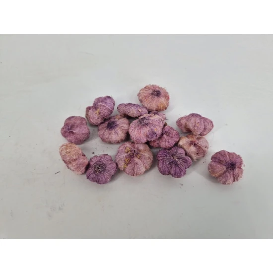 WILD APPLE MINI FREESIA