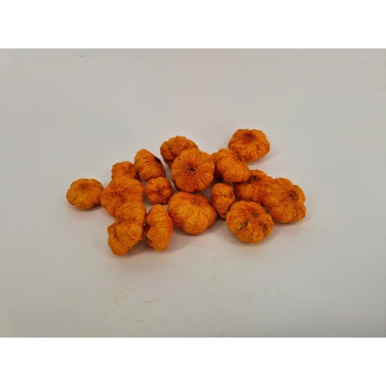 WILD APPLE MINI ORANGE (APRICOT)