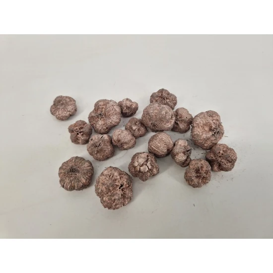 WILD APPLE MINI / PARAS PEEPLE ROSEGOLD +/-250GR