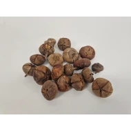 WILD APPLE MINI ROUGH NATURAL +/-100GR
