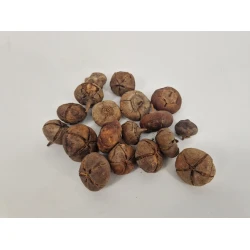 WILD APPLE MINI ROUGH NATUREL +/-500GR