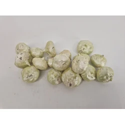 WILD APPLE MINI BRUT PEARL MINT +/-100GR