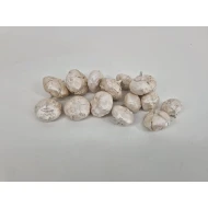 WILD APPLE MINI ROUGH PEARL WHITE +/-100GR