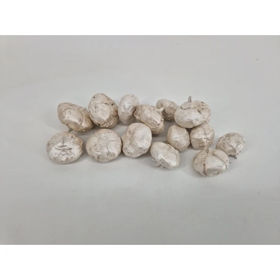 WILD APPLE MINI BRUT PEARL WHITE
