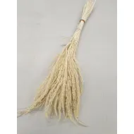 WILD GRASS BLANCHI +/-75GR