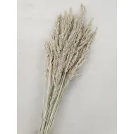 WILD GRASS WHITE WASH +/-75GR