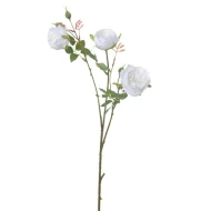 WILD ROSE 60CM WHITE