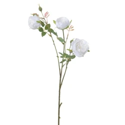 WILD ROSE 60CM WHITE