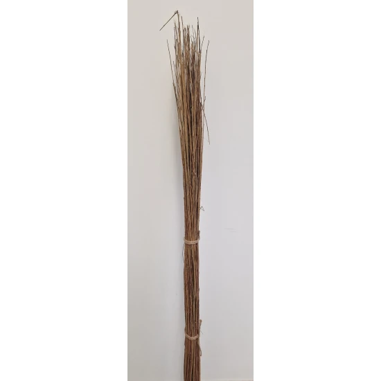 SAULE 150CM NATUREL 100PCS