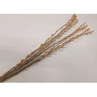 PUSSY WILLOW YELLOW 70-80CM 8PCS