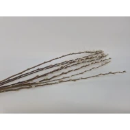 PUSSY WILLOW NATURAL 70-80CM 8PCS