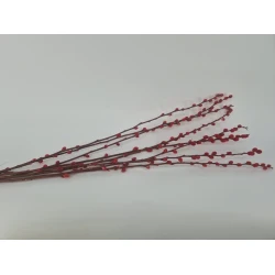 PUSSY WILLOW RED 70-80CM 8PCS