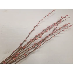PUSSY WILLOW LIGHT PINK 70-80CM 8PCS