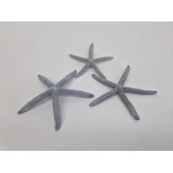 ETOILES DE MER GRIS 10-15CM 10PCS