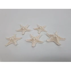 ETLOILES DE MER MEDIUM BLANCHI 25PCS