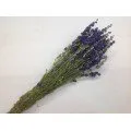 Droogbloemen