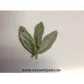 Geconserveerd blad