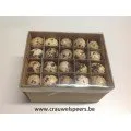 Pâques