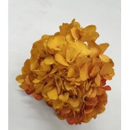 PRESERVED HYDRANGEA (HYDRANGEA) YELLOW/RED +/-15CM