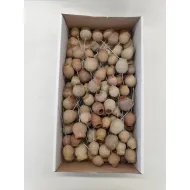 GUMBELLS NATUREL SUR TIGE 100PCS
