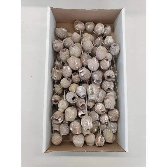 GUMBELLS WHITE WASH SUR TIGE 100PCS