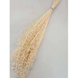 LIN BLANCHI +/-100GR