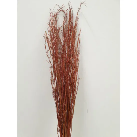 SARASH BUNCH BRUIN +/-110CM +/-100GR