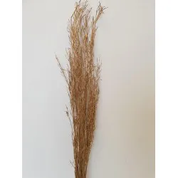 SARASH BUNCH OR +/-110CM +/-100GR