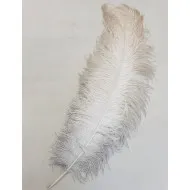 OSTRICH FEATHERS DRAB +60CM NATURAL 1PC