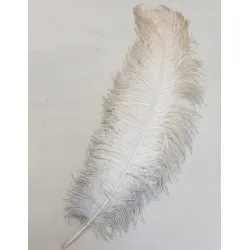 PLUMES AUTRUCHE DRAB +60CM NATUREL 1PC