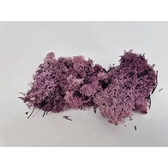 IJSLANDS MOS AUBERGINE MEDIUM +/-200GR