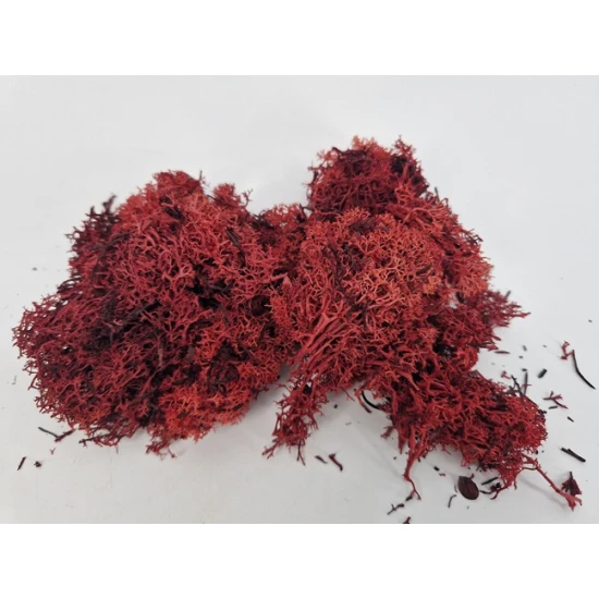 IJSLANDS MOS BORDEAUX MEDIUM +/-200GR