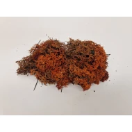 ICELANDIC MOSS BROWN +/-50GR