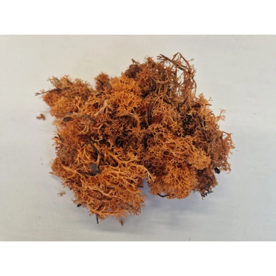 ICELANDIC MOSS COGNAC MEDIUM +/200GR