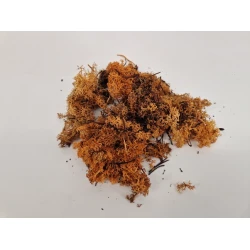 MOUSSE D'ISLANDE COGNAC +/-50GR