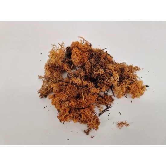 IJSLANDS MOS COGNAC +/-50GR