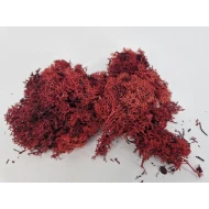 MOUSSE D'ISLANDE STABILISEE BORDEAUX +/-450GR