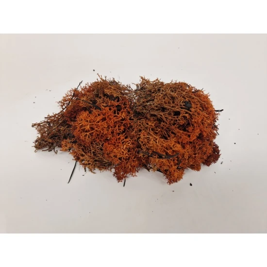 ICELANDIC MOSS PRESERVED BROWN +/-450GR