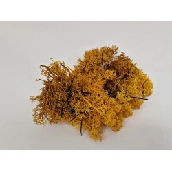 MOUSSE D'ISLANDE STABILISEE JAUNE +/-450GR