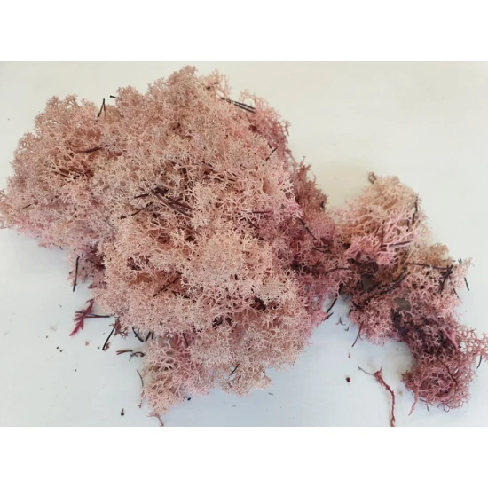 MOUSSE D'ISLANDE STABILISEE ROSE PASTEL +/-10KG