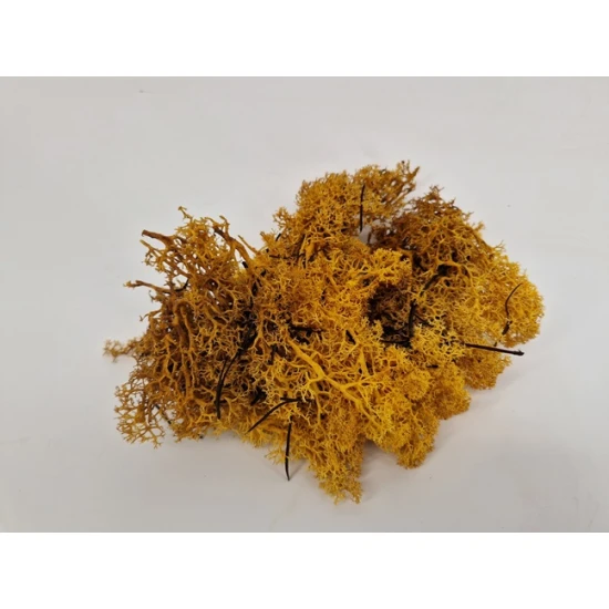 IJSLANDS MOS GEEL MEDIUM +/200GR
