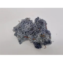 MOUSSE D'ISLANDE GRIS GRAND +/-400GR