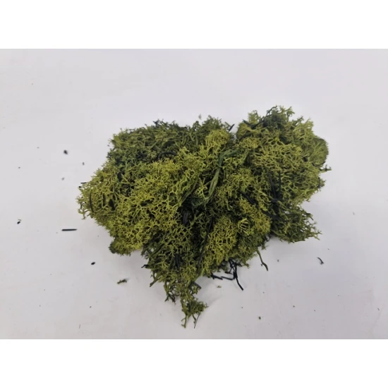 ICELANDIC MOSS MOSS GREEN 5KG