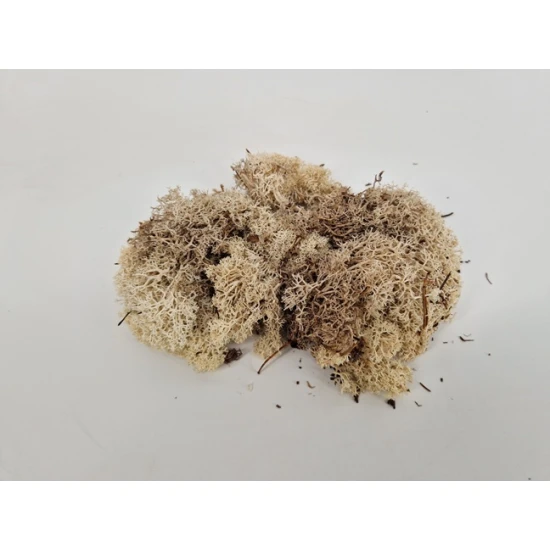 ICELANDIC MOSS NATURAL 5KG