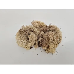 MOUSSE D'ISLANDE NATUREL MEDIUM +/-200GR