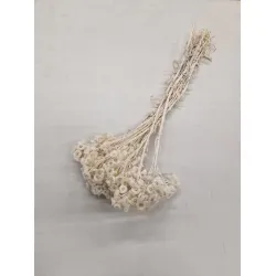 IMMORTELLE BLEACHED 1/2 BOPP/kraft Small packaging